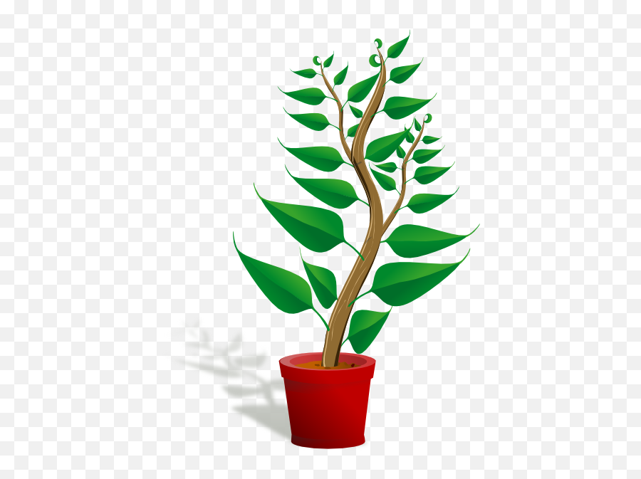 Weed Plant Cartoon - Plant Clip Art Png Emoji,Weed Plant Emoji