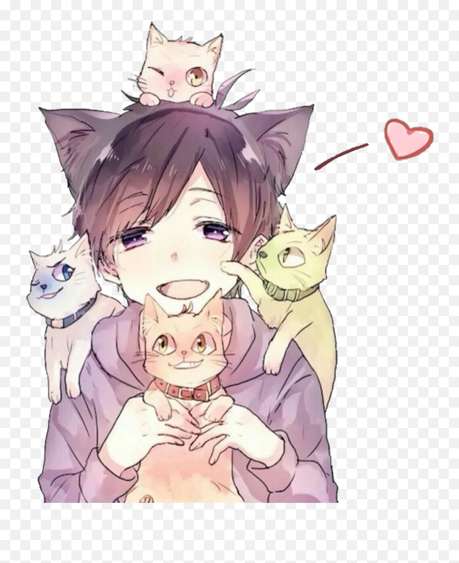 Boy Anime Animeboy Cute Colorful Emoji,Boy Cat Emoji