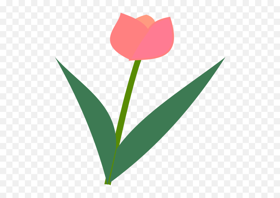 Tulip Flower - Tulip Emoji,Tulip Emoji