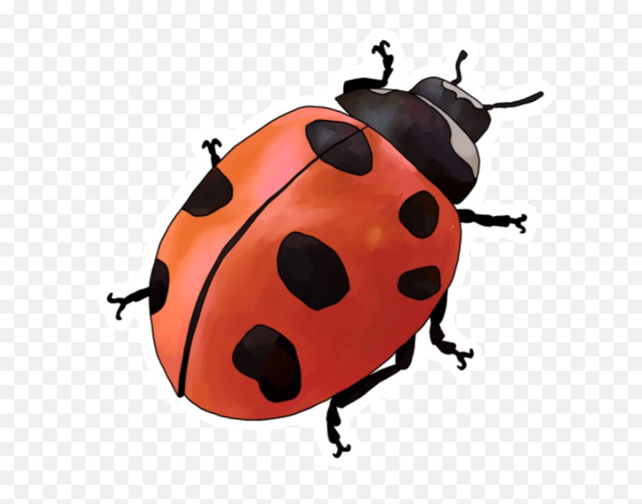 Freetoedit Ladybug Ladybird Uurböcei - Realistic Ladybug Clipart Emoji,Ladybug Emoji