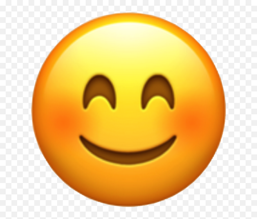 Homework Freetoedit - Smiley Face Emoji,Homework Emoji