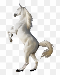 White Horse Png Image Png Download - Jumping White Horse Png Emoji,Horse Emoji Png