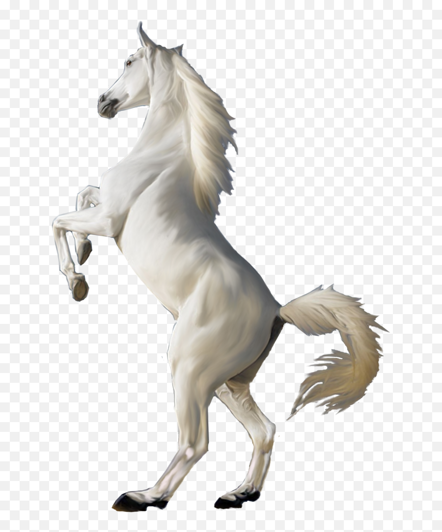 White Horse Png Image Png Download - Jumping White Horse Png Emoji,Horse Emoji Png