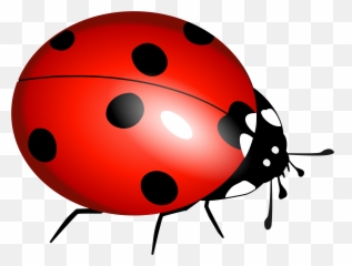 Ladybug Vector File Image - Ladybird Pictures To Print Emoji