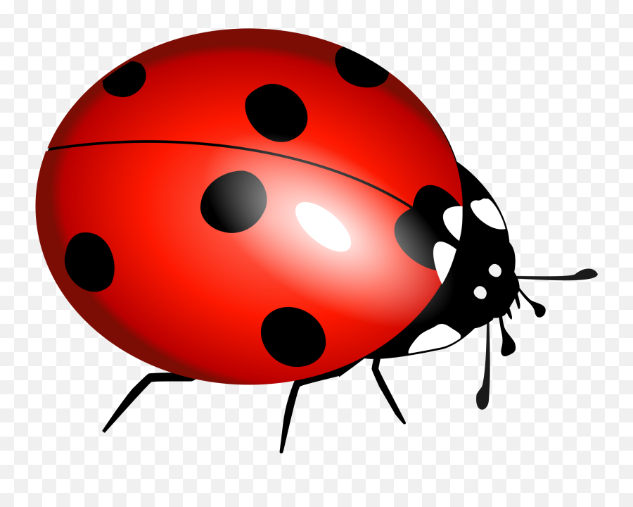 Ladybug Vector File Image - Ladybird Pictures To Print Emoji,Apple Gun Emoji