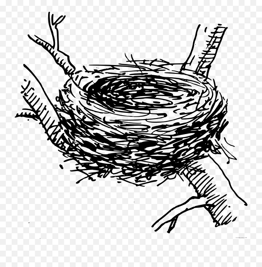 Bird Nest Coloring Pages Psf Birdnest Bpng Printable - Nest Clipart Black And White Emoji,Cardinal Bird Emoji