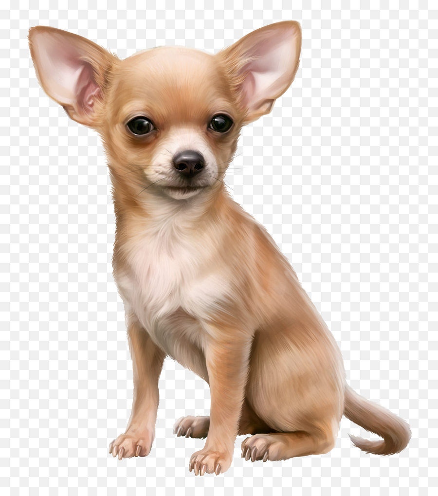 Mileidi46 - Chihuahua Clipart Emoji,Chihuahua Emoji