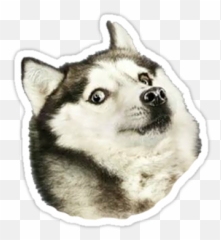 Husky Doge Sticker - Dog Jumping Mid Air Emoji,Doge Emoji