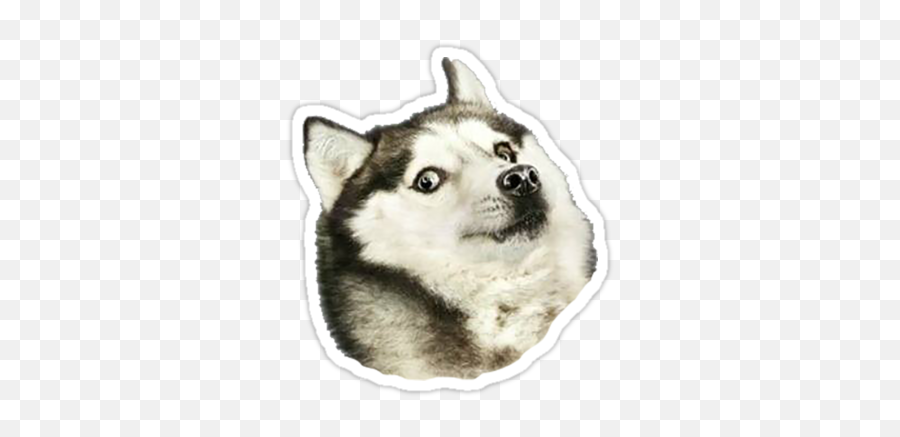 Husky Doge Sticker - Dog Jumping Mid Air Emoji,Doge Emoji