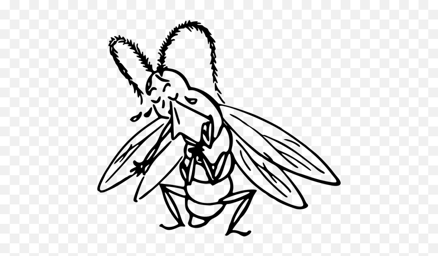 Crying Insect - Cricket Insects Crying Drawing Emoji,Scream Emoji