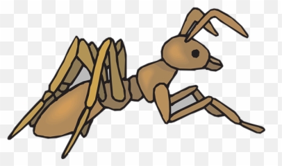 Free Close Up Close - Printable Insect Clipart Emoji,Zzz Ant Ladybug Ant Emoji