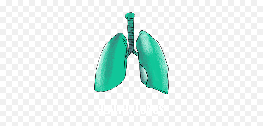 What Are The Effects Of Smoking The Real Cost - Clip Art Emoji,Lung Emoji