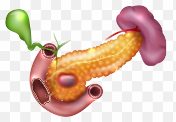 Darkspots In Pancreas - Spleen Liver Clipart Full Size Illustration Emoji