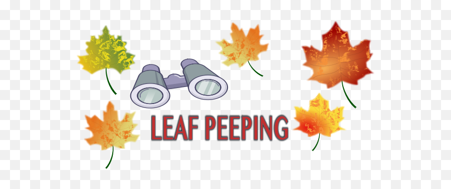 Leaf Peeping - Maple Leaf Emoji,Fallen Leaf Emoji