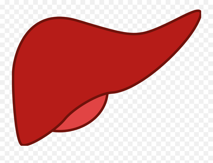 Happy Clipart Liver Happy Liver - Transparent Background Liver Clipart Emoji,Liver Emoji
