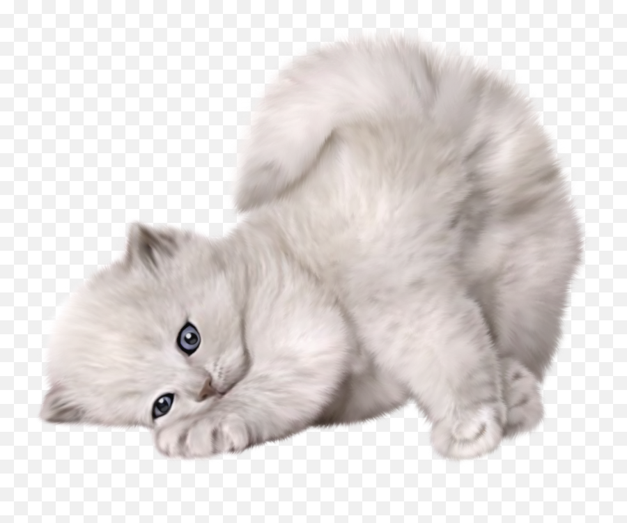 Funny Emoji Transparent Png Clipart - Cute Cat Transparent,Grumpy Cat Emoticon