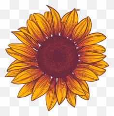 Picture - Sunflower Emoji,Sun Flower Emoji