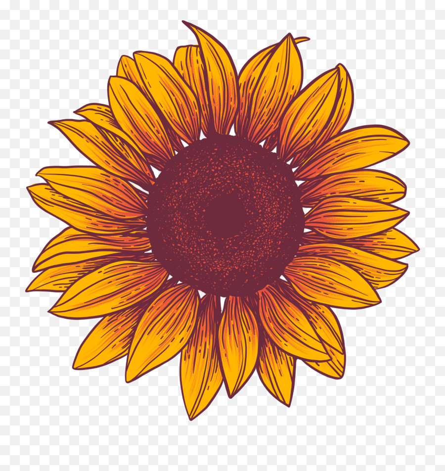 Picture - Sunflower Emoji,Sun Flower Emoji