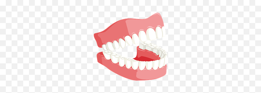 200 Free Tooth U0026 Dentist Illustrations - Pixabay Dentistry Emoji,Dental Emoji