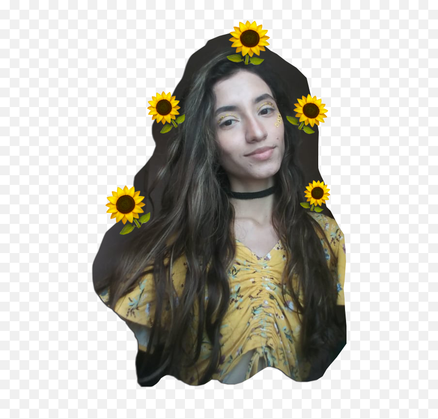 Sunflower Makeup Vmart Hive - Happy Emoji,Sunflower Emoji