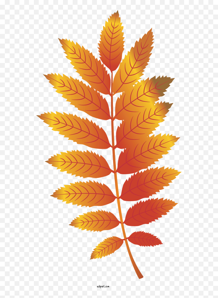 Nature Leaf Adobe Illustrator For Leaf - Leaf Leaf Vector Art Autumn Emoji,Autumn Leaf Emoji
