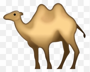 All Emoji Products - Camel Emoji Png,Chestnut Emoji