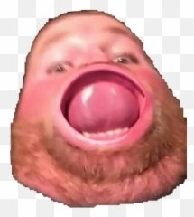 Noice Freetoedit - Cat Yawns Emoji