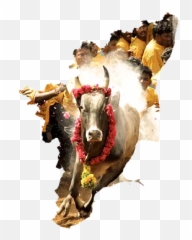 Bitcoin News Archives - Jallikattu Kaalai Image Png Emoji,Kik Avocado Emoji