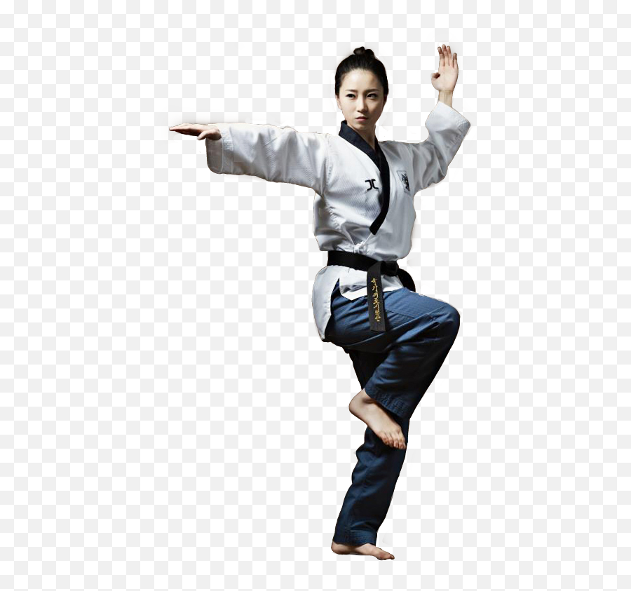 Popular And Trending Taekwondo Stickers On Picsart - Taekwondo Gif With Transparentbackground Emoji,Taekwondo Emoji