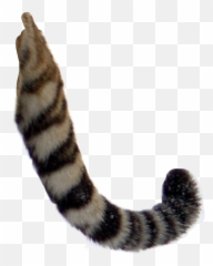 Popular And Trending Tygrys Stickers - Killer Tiger Transparent Background Emoji,Skunk Emoticons
