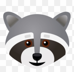 10 Emojis Die Wir Brauchen - Emoji Waschbär,Racoon Emoji