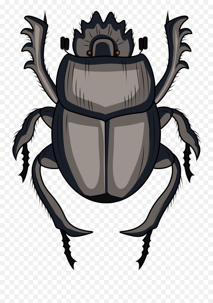 Scarabaeus Dung Beetle Clipart Free Download Transparent - Dung Beetle Clipart Emoji,Cardinal Emoji