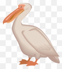 Brown Pelican Bird Clip Art - Clipart Pelican Png Emoji,Pelican Emoji