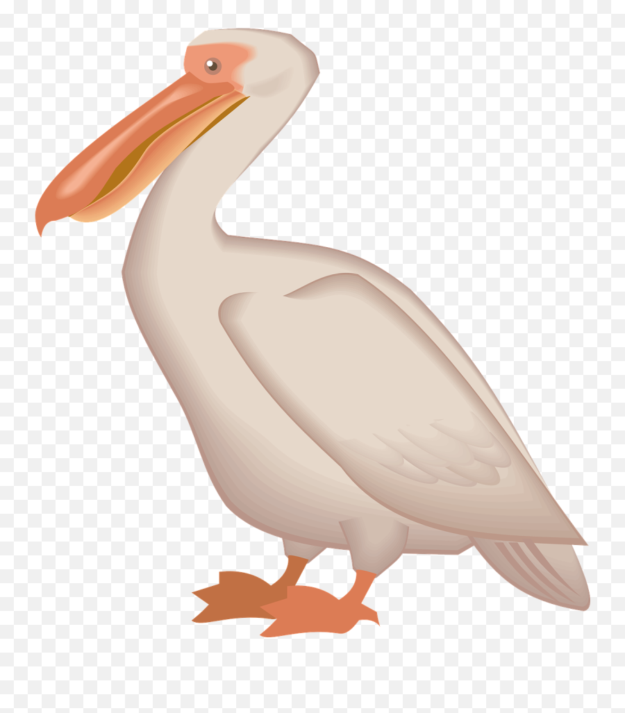 Brown Pelican Bird Clip Art - Clipart Pelican Png Emoji,Pelican Emoji