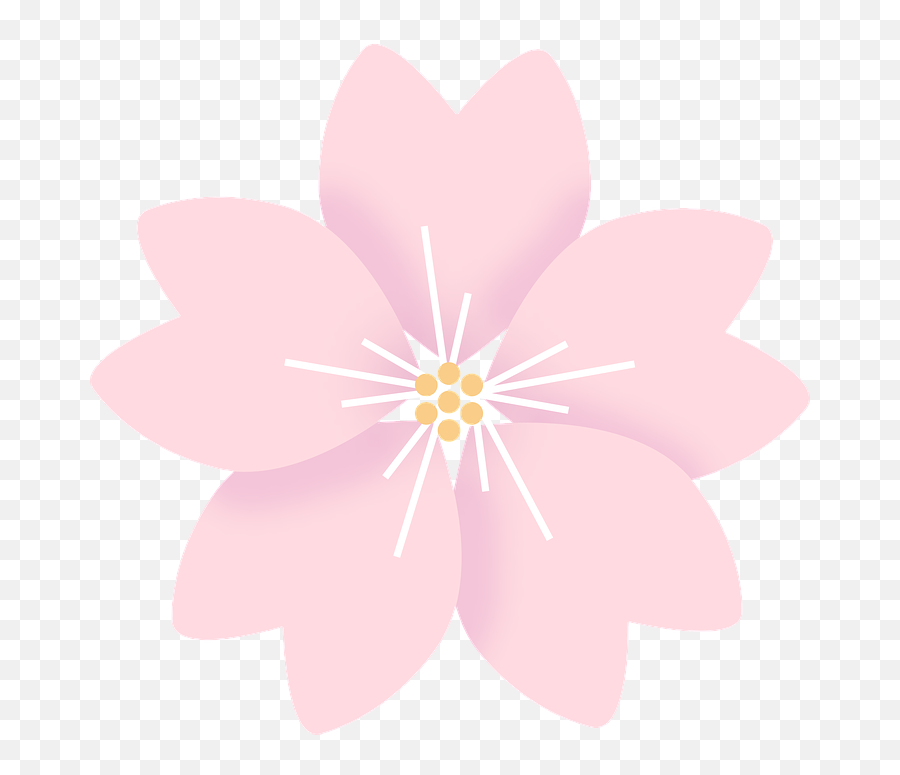 Flowers Cherry Blossom - Sakura Kanji Emoji,Sakura Blossom Emoji
