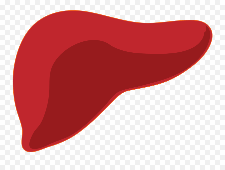 Liver Clipart Liver Food Liver Liver - Liver Clipart Png Emoji,Liver Emoji