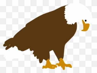 Bird Animal Vector - Animales Vector Png Emoji,Turtle Bird Emoji