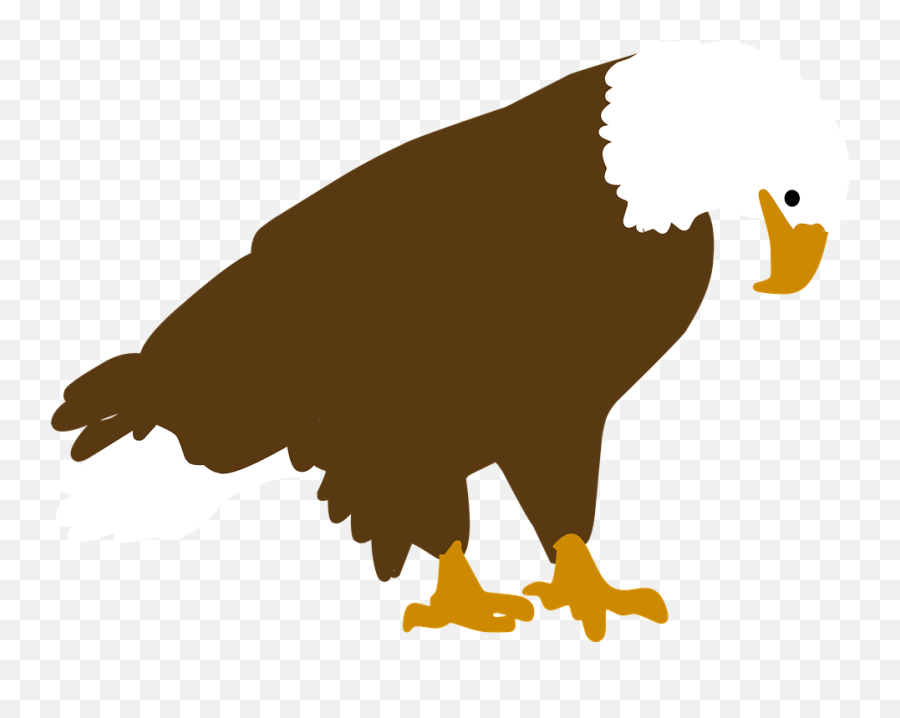 Bird Animal Vector - Animales Vector Png Emoji,Turtle Bird Emoji