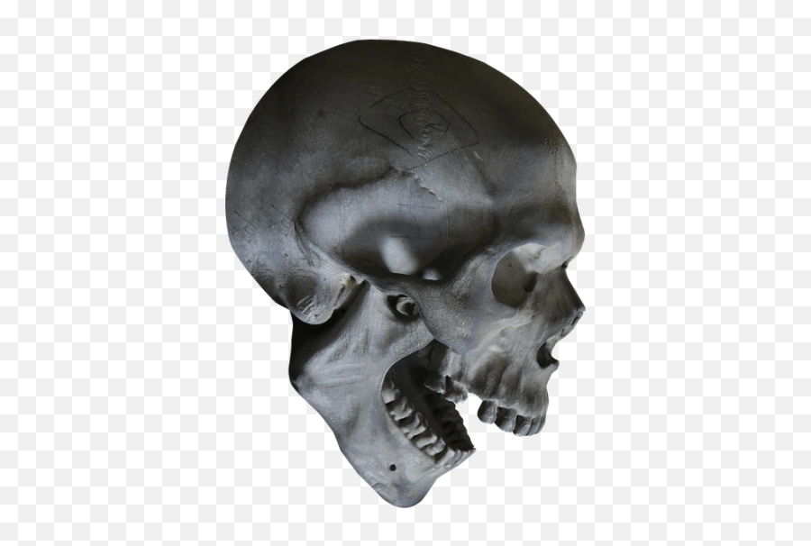 Skeleton Png And Vectors For Free Download - Dlpngcom Skull Head Png Emoji,Skeleton Emoji