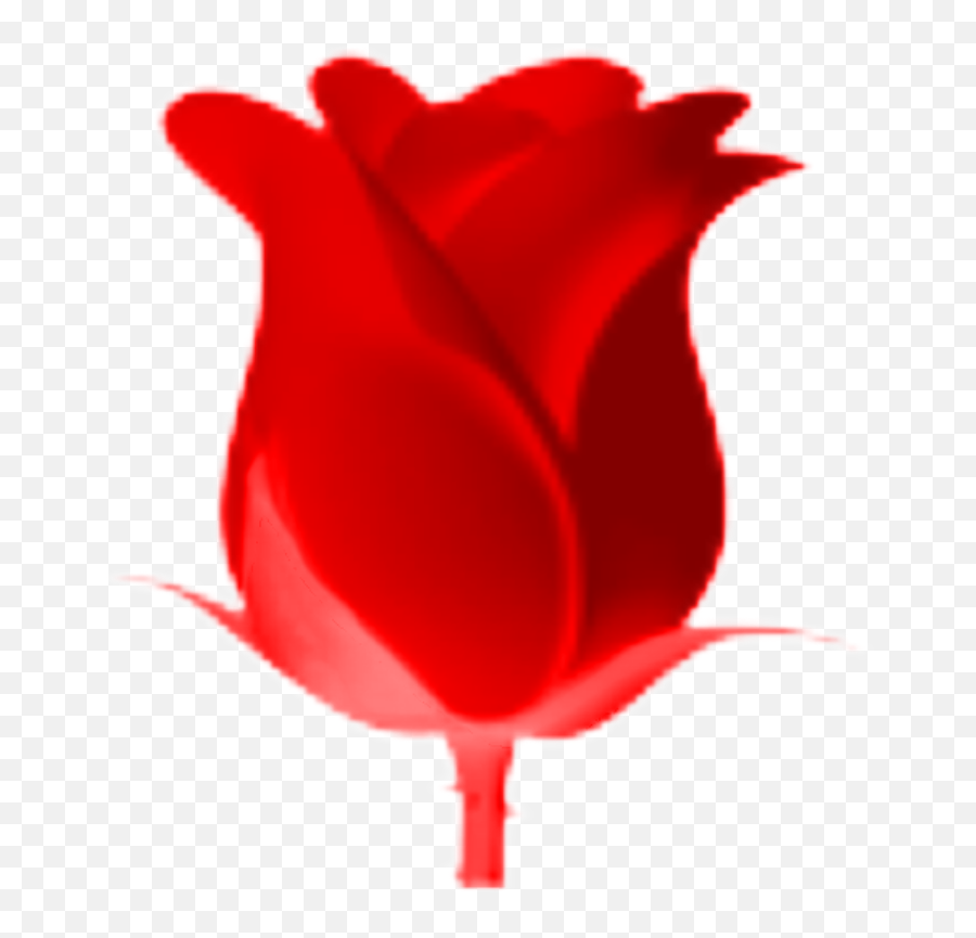 Flower Red Heart Redflower Emoji Emoj - Gül Emoji,Red Flower Emoji