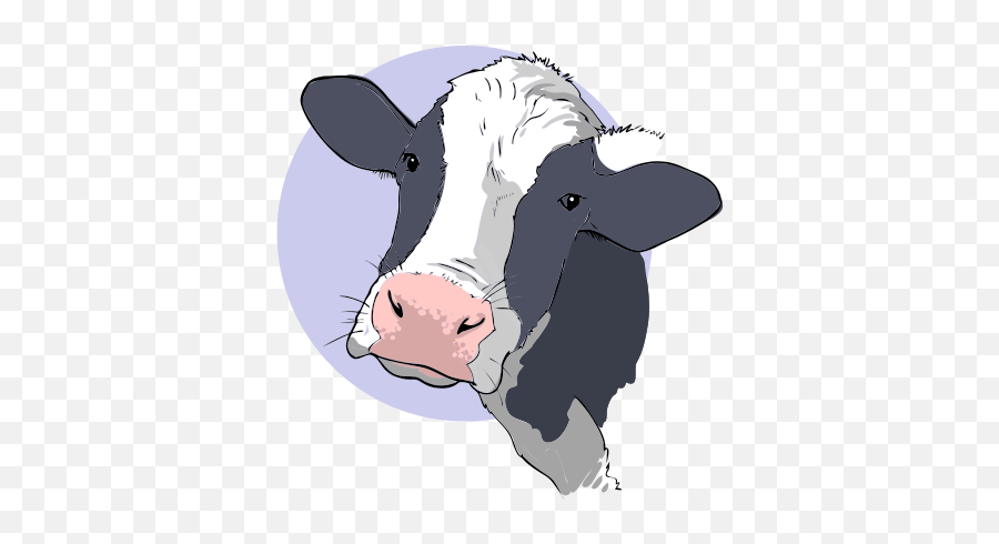 Transparent Background Cow Face Clipart - Dairy Cow Face Clip Art Emoji,Cow Face Emoji