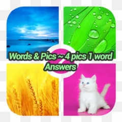 Words u0026 Pics 4 1 Answers u2022 September 2020 - Lg Kp 501 Cookie Emoji