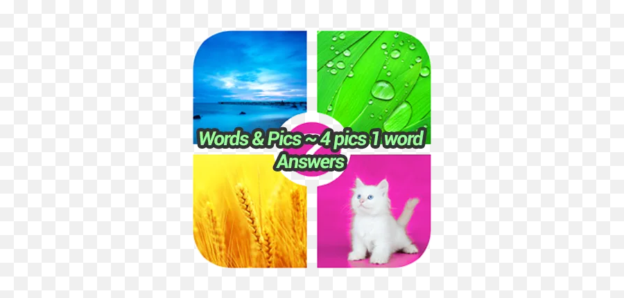 Words U0026 Pics 4 Pics 1 Word Answers U2022 September 2020 - Lg Kp 501 Cookie Emoji,Emoji Level 15