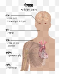 Bodily Effects Of Cannabis Bn - Kesan Dadah Terhadap Otak Emoji,Emoji Creator