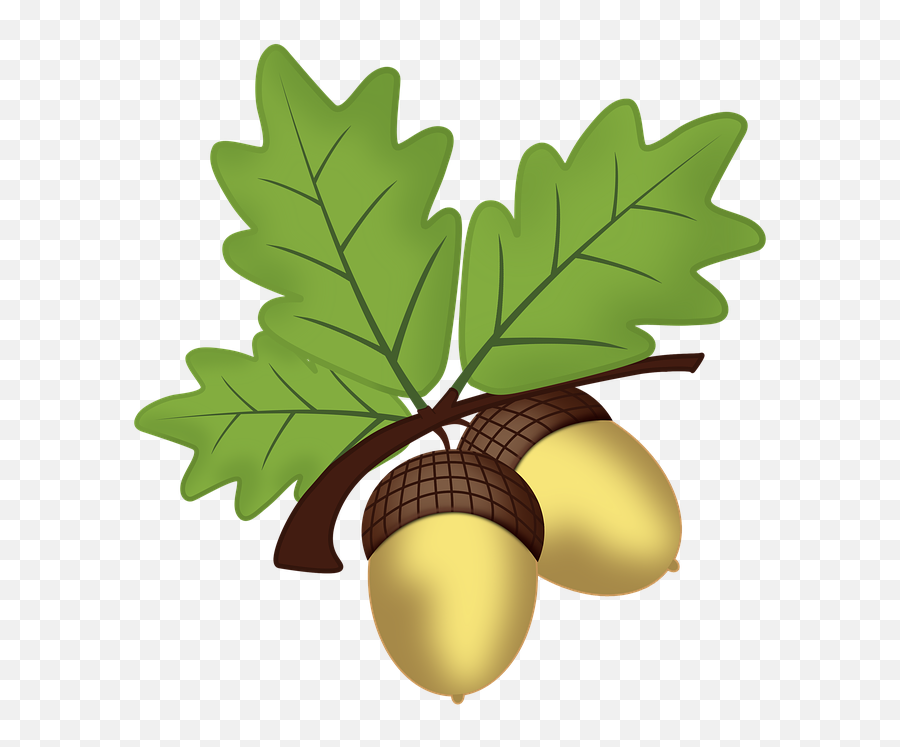 Free Acorns Oak Images - Oak Leaf And Acorn Clipart Emoji,Fallen Leaf Emoji