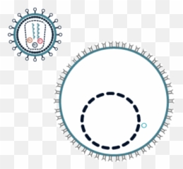 Hiv Replication Cycle - Animated Gif Aids Emoji