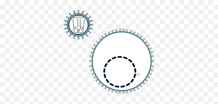 Hiv Replication Cycle - Animated Gif Aids Gif Emoji,Cycle Emoji
