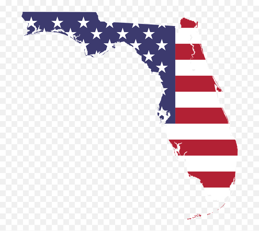 Free Cartography Globe Vectors - State Of Florida American Flag Emoji,Us Flag Emoji