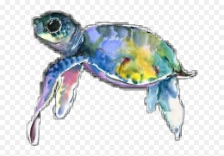 Colormehappy Sea Turtle Turtlestickers - Olive Ridley Sea Turtle Emoji,Sea Turtle Emoji