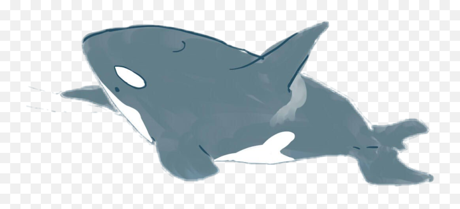 Orque Orca Dauphin Dolphin Whale Sticker By Lynn - Oceanic Dolphin Emoji,Orca Emoji